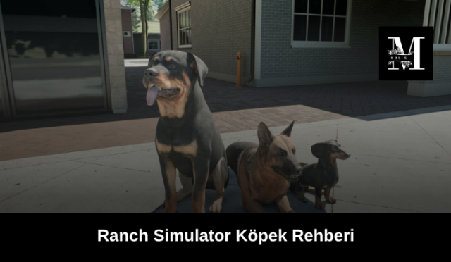 Ranch Sİmulator Köpek Rehberi