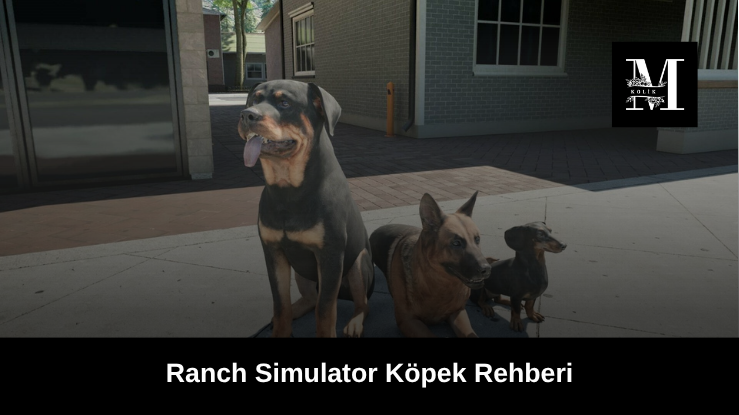 Ranch Simulator Köpek Rehberi: Besleme, Taşıma ve Çağırma